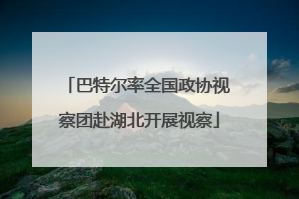 巴特尔率全国政协视察团赴湖北开展视察